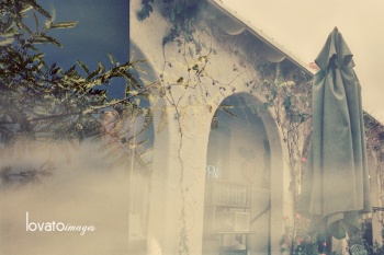 orange photographer www.lovatoimages.com