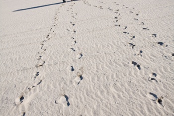 orange portraits www.lovatoimages.com