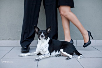 long beach engagement portraits