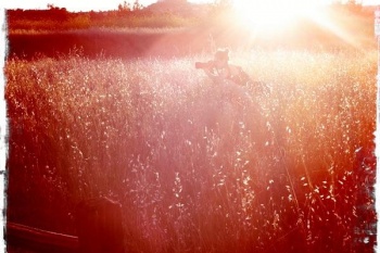 orange portraits www.lovatoimages.com