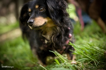 Orange portraits www.lovatoimages.com