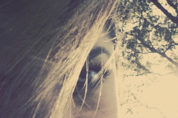 orange photographer www.lovatoimages.com