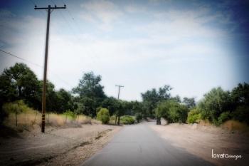 orange portraits www.lovatoimages.com