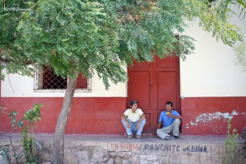 orange portraits www.lovatoimages.com