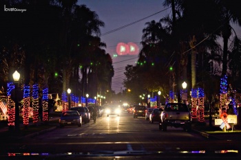 orange photographer www.lovatoimages.com