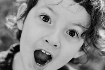 orange portraits www.lovatoimages.com