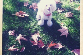 portrait photographer