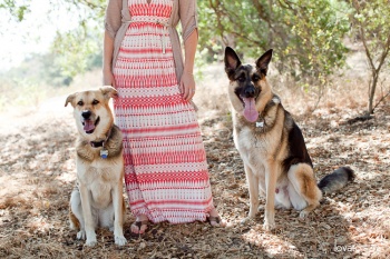 portrait photographer