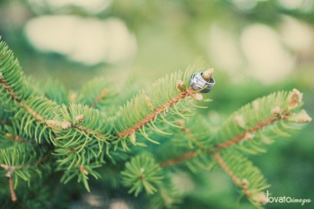 wedding photography gallery