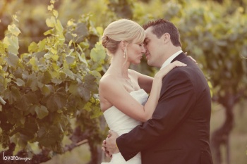 weins winery wedding photography