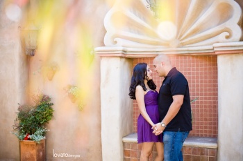 Disney weddings and engagement photographers