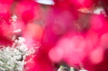 san juan wedding photography images