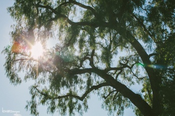 san juan capistrano mission