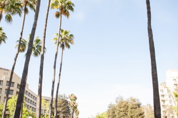 wyndham hotel wedding